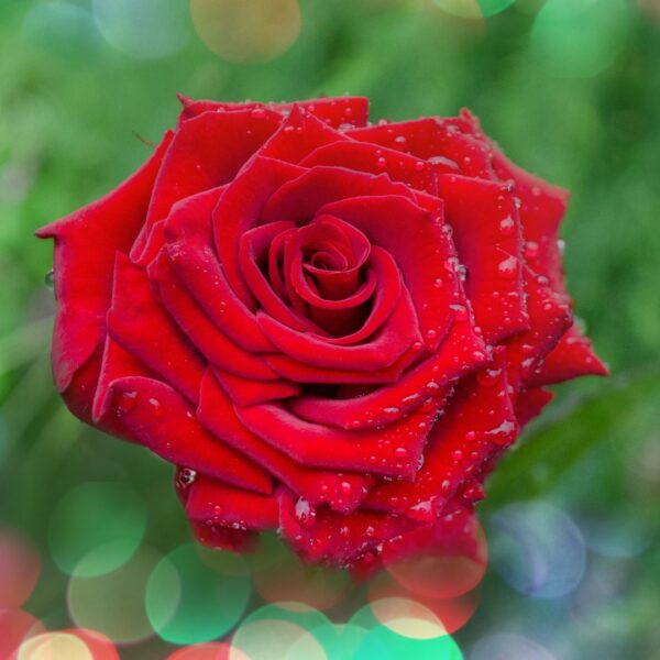 xr:d:DAFg9Z3rZG0:129,j:5063617605,t:23051919